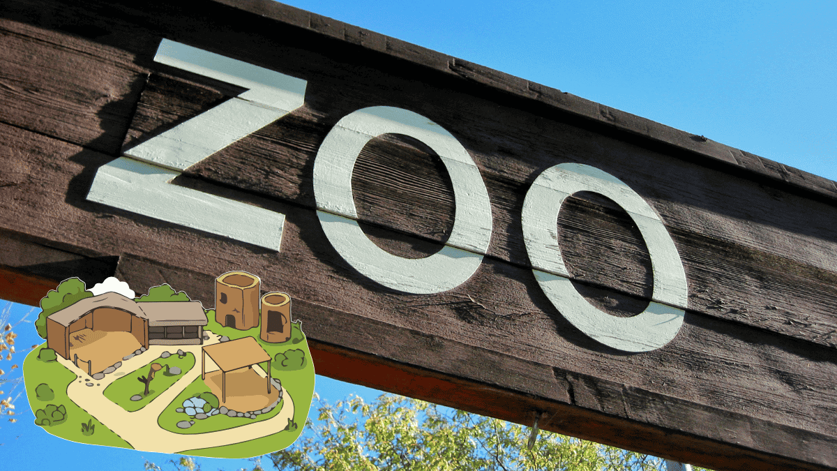 What is an “AI zoo”