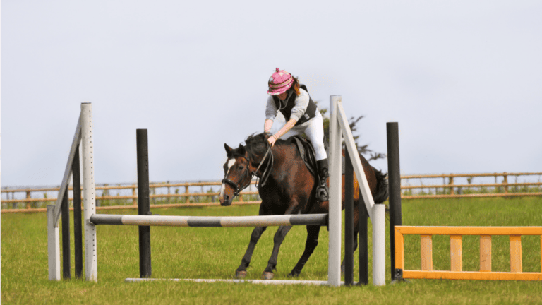 a horse refuses to jump the fence in front of it