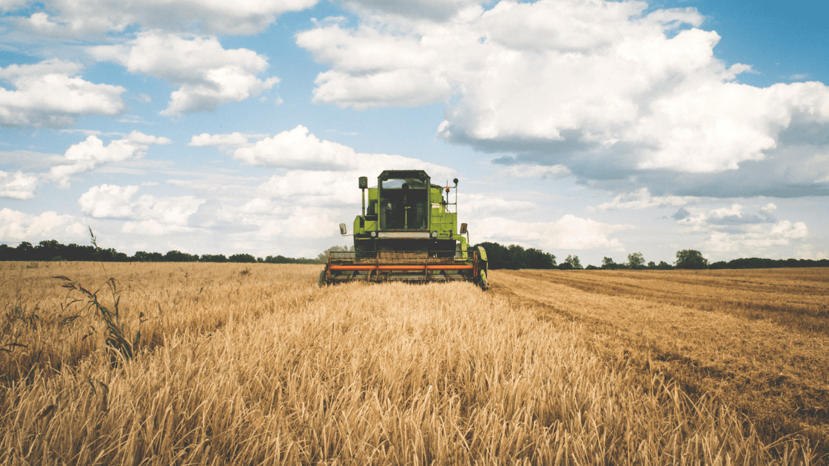 What Happens When You Can Talk To Your Farm?