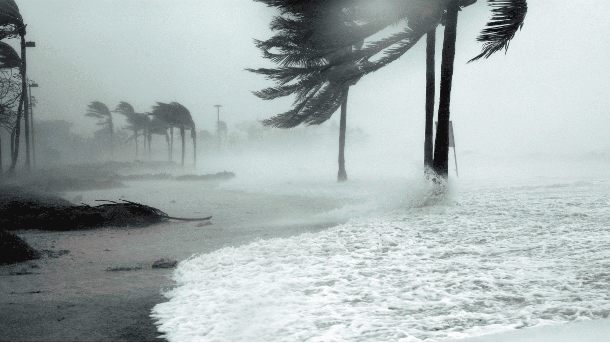 Can We See Hurricanes Coming Sooner?