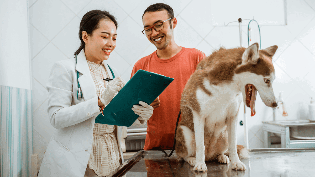 vet checkup